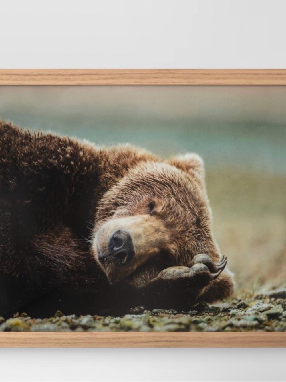 20" × 16" Bear Photography Framed Art Brown
- Threshold™